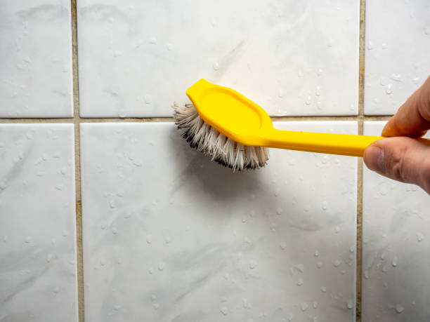 Best DIY Mold Remediation Support Services in Eaton Rapids, MI