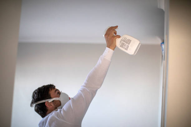 Best Post-Flood Mold Remediation in Eaton Rapids, MI